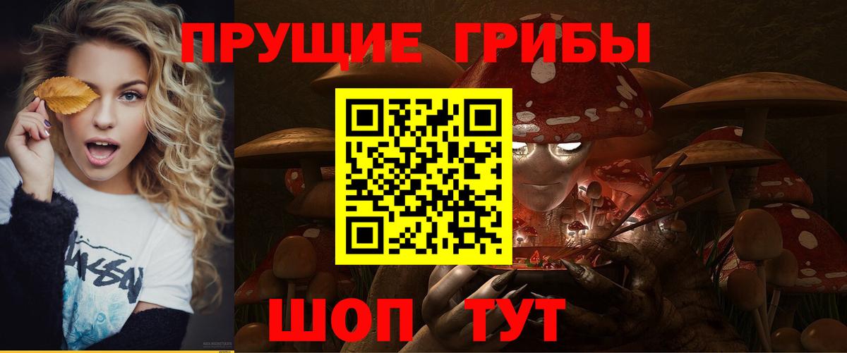 Галлюциногенные грибы Psilocybine cubensis  Псилоцибиновые грибы прущие грибы  Егорьевск  Вход с VPN 